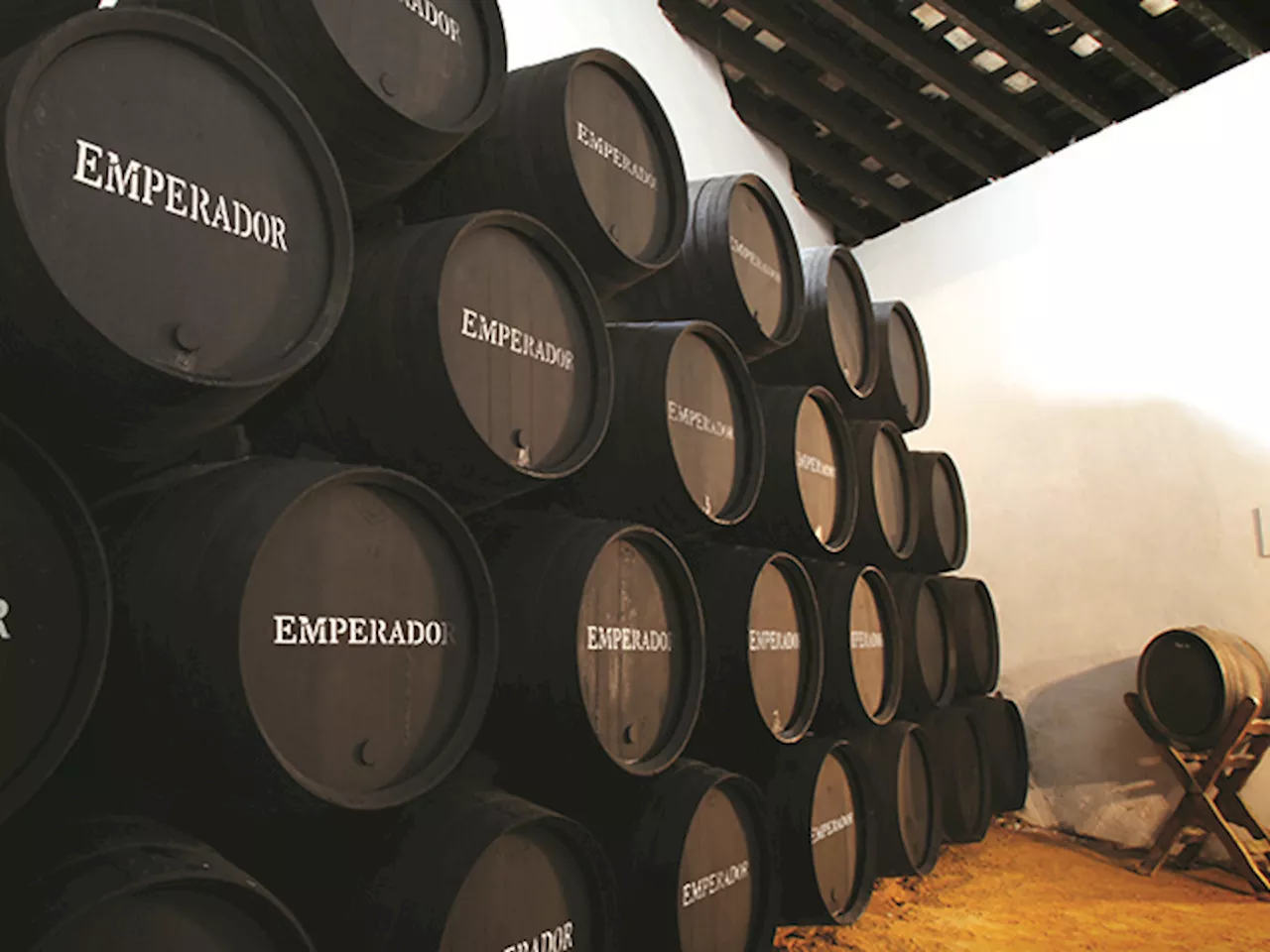 Emperador sets P6.5-B capex for 2024