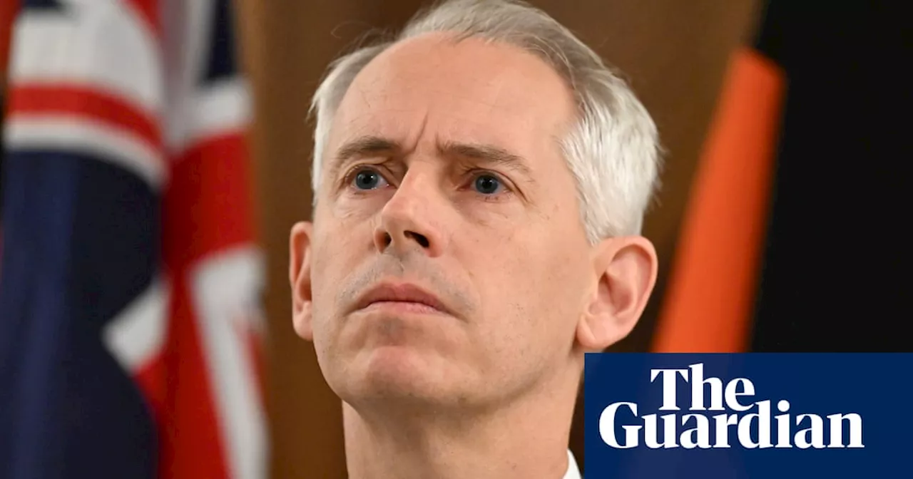 Andrew Giles released four people from immigration detention without strictest conditions