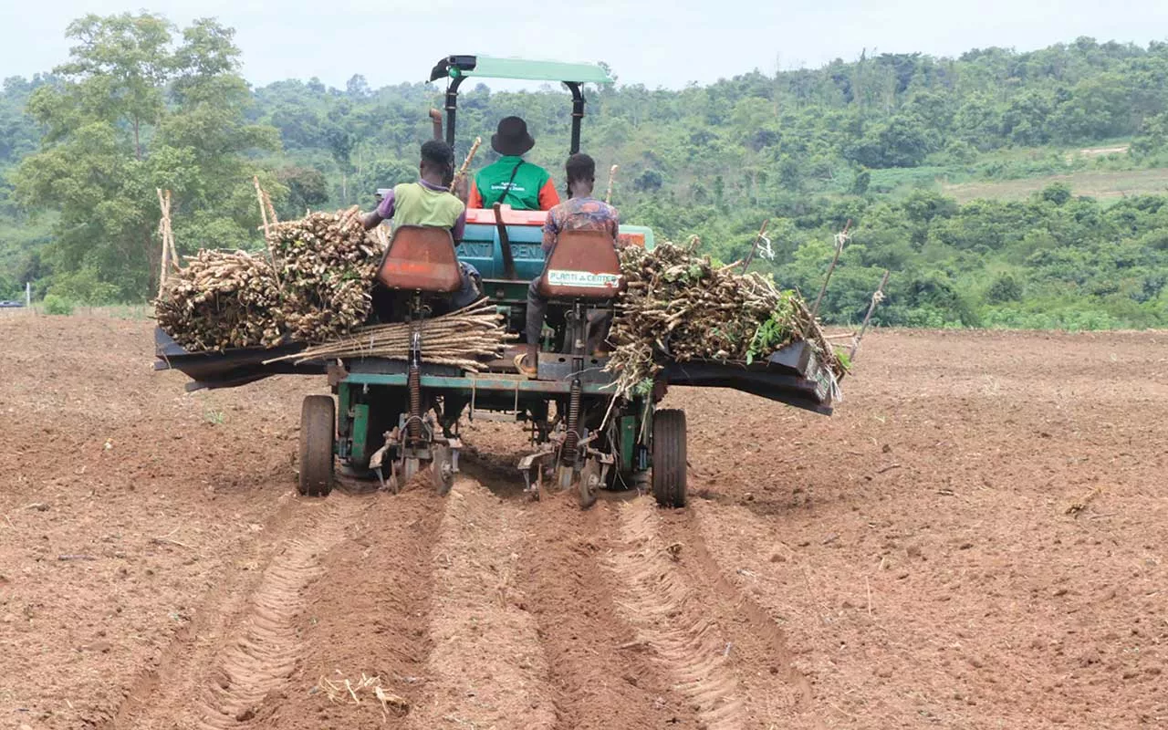 Southwest in search of food sufficiency