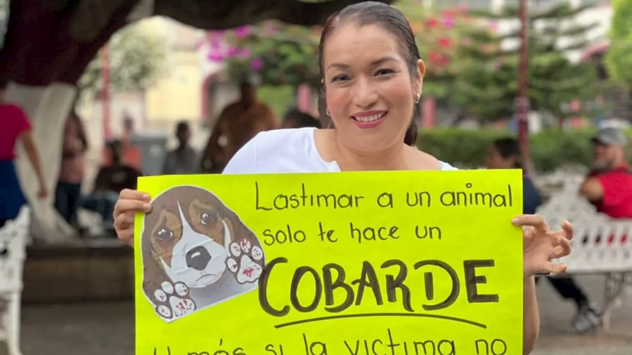 Una docena de perros fueron envenenados en Talpa, Jalisco, vecinos exigen justicia con marchas