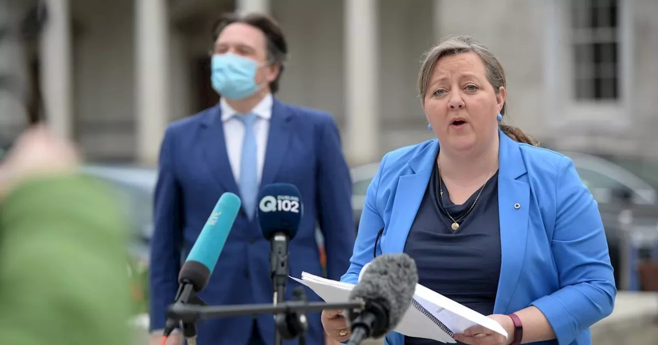 Green Senator Róisín Garvey enters races to become party’s deputy leader