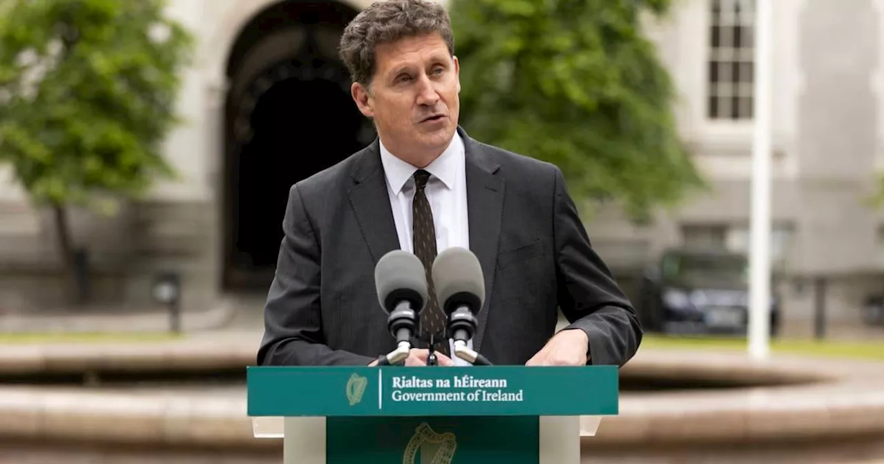 Liz Carolan: The kind of “vile” abuse Eamon Ryan described has a chilling effect on democracy