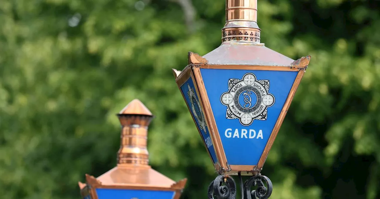 Man charged with brandishing hammer in Phoenix Park denies ‘attack on the gay community’