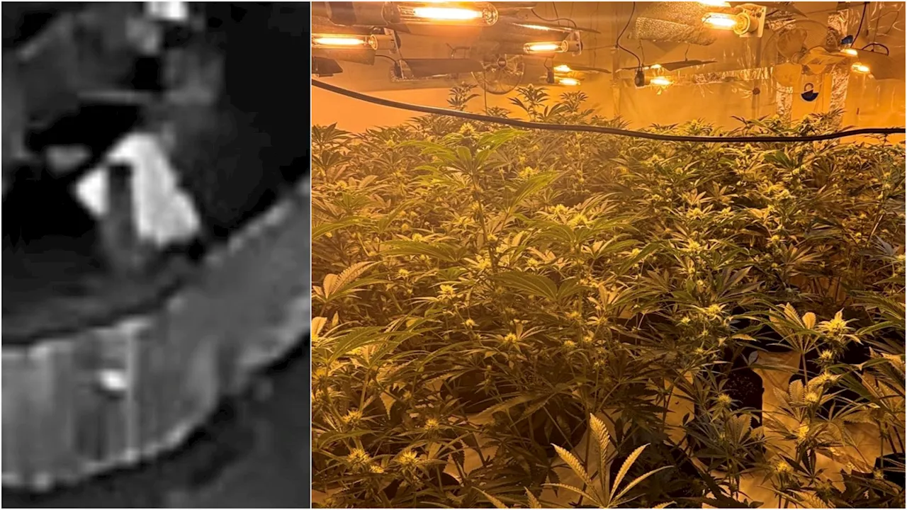 Thermal image drone helps bust cannabis farm harvesting 150 plants in Hendon