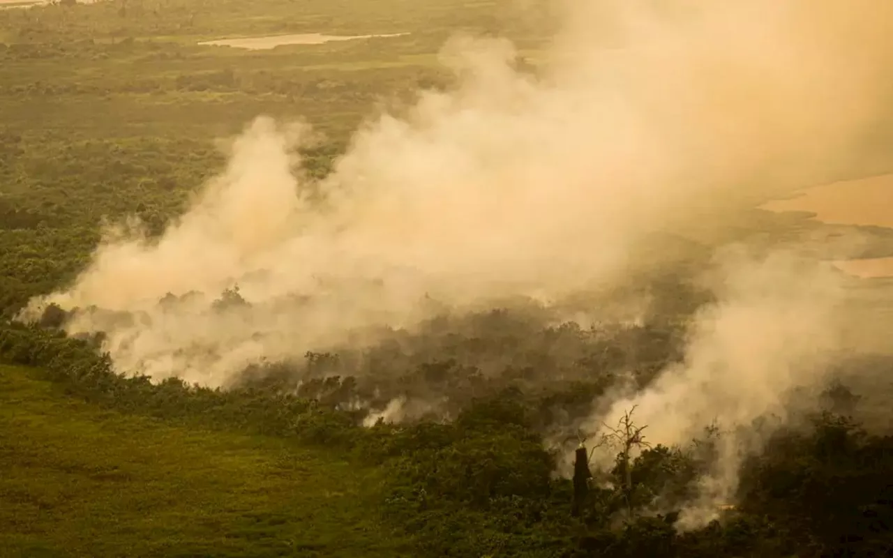 Com incêndios, Mato Grosso do Sul decreta situação de emergência