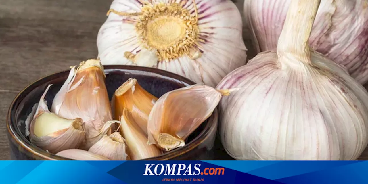 Cara Menyimpan Bawang Putih agar Tahan Lama