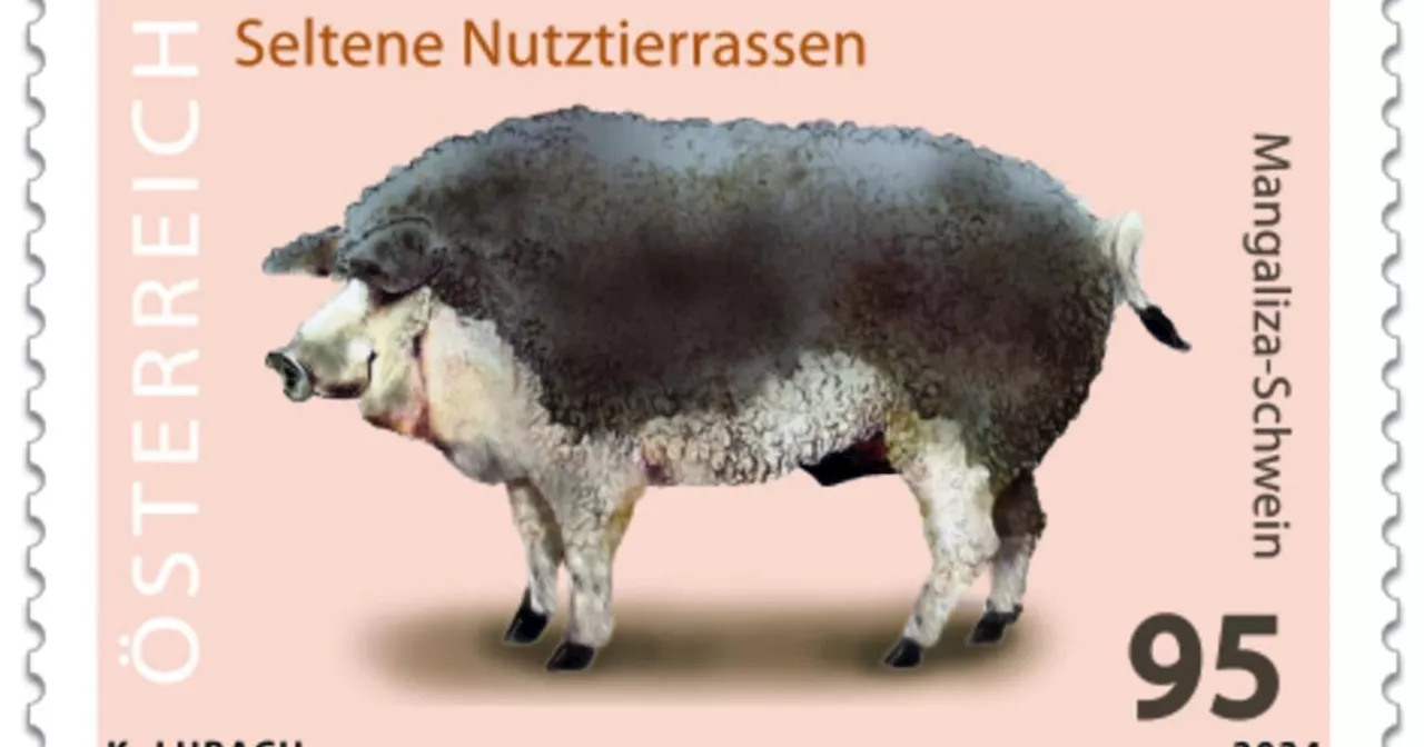 Wie Sie Briefe künftig mit einem Schwein verschicken können