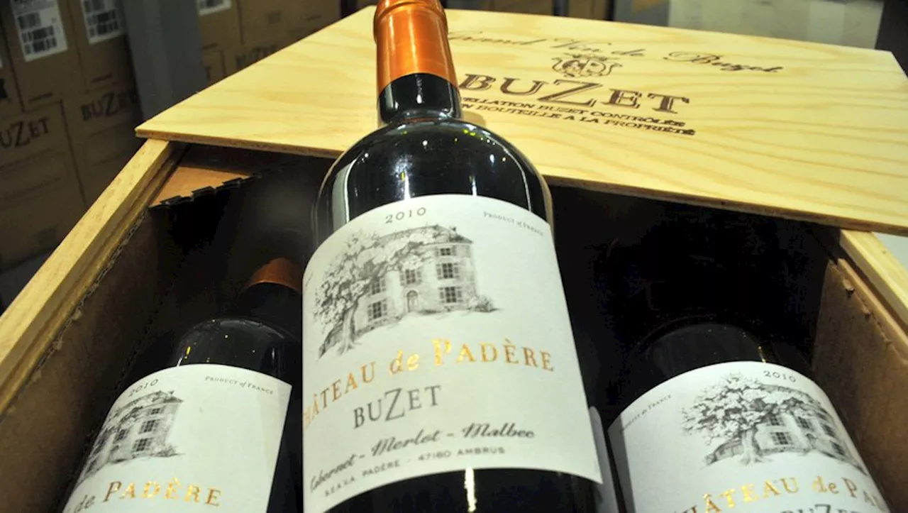 Vignerons de Buzet : des Millémisades plus importantes que jamais pour la coopérative