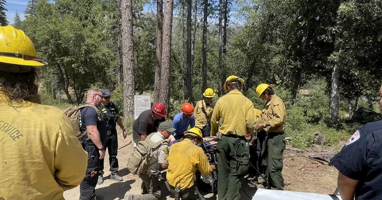 Couple found dead in water outside Yosemite: 'James died a hero trying to save his girlfriend'