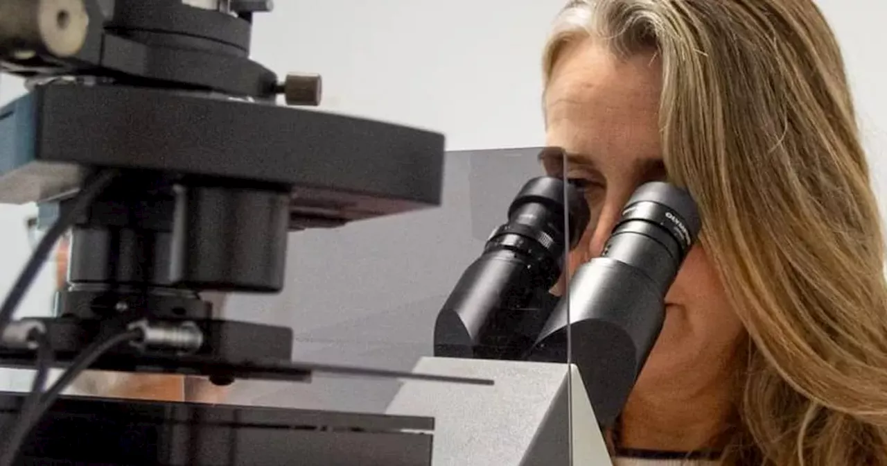 Único en Córdoba: cómo funciona el “súper” microscopio que incorporó la UNC