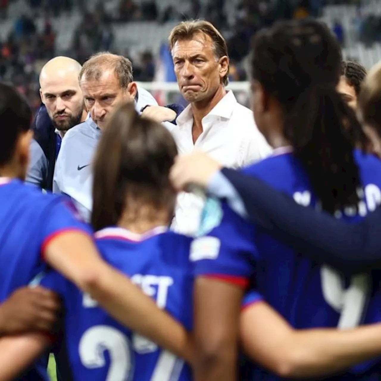 Hervé Renard, sélectionneur des Bleues : « Cela ne m'empêche pas d'être focalisé sur l'objectif »