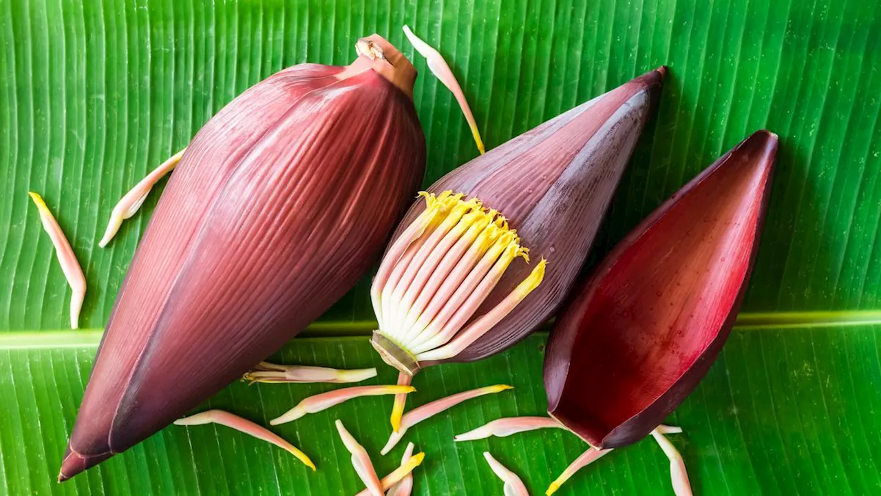 Cuma Pakai 1 Bahan, Ini Trik Olah Jantung Pisang Agar Tetap Putih Segar dan Tidak Pahit