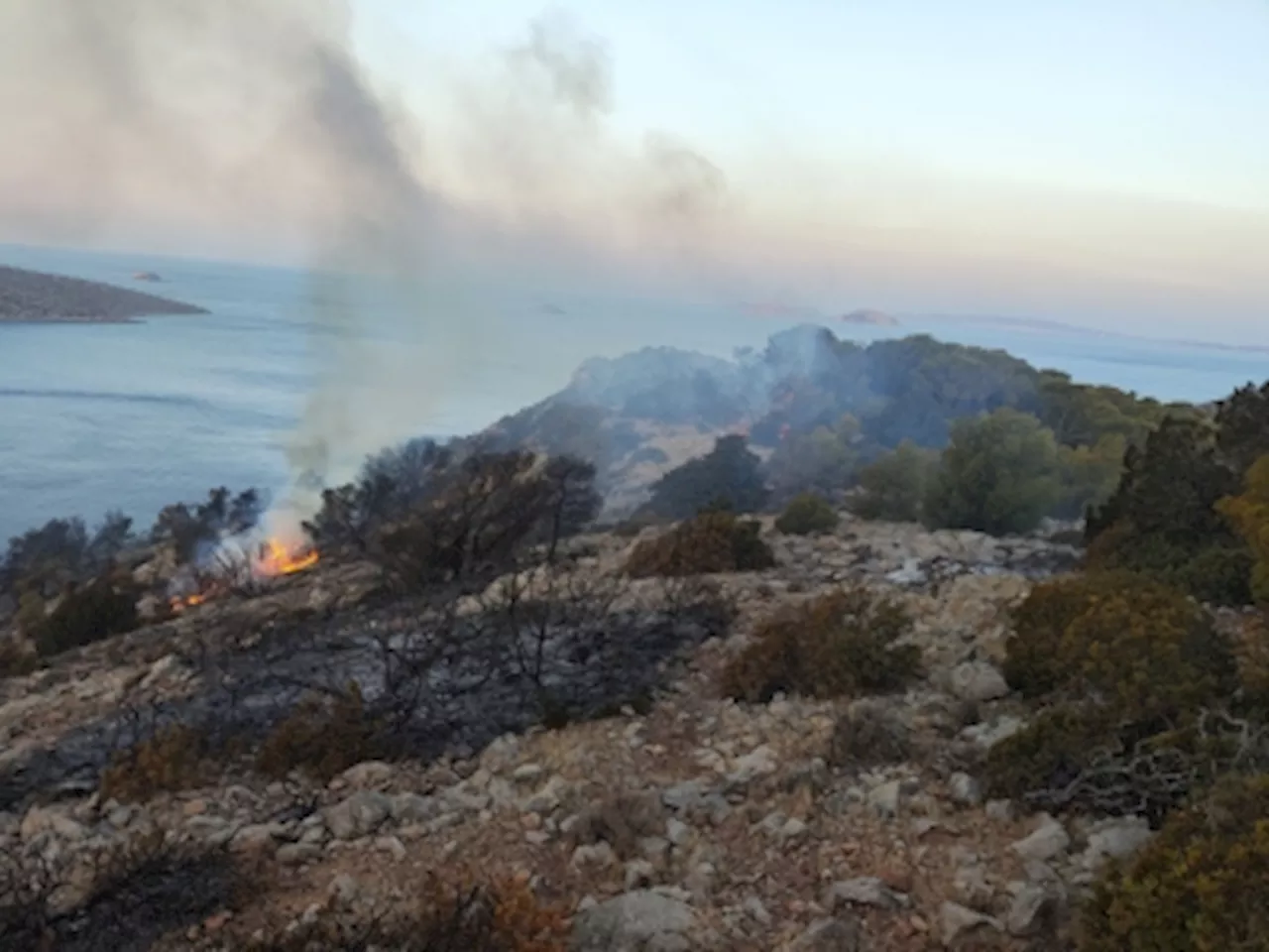 Tourist death toll from Greek heat wave rises to six, others missing