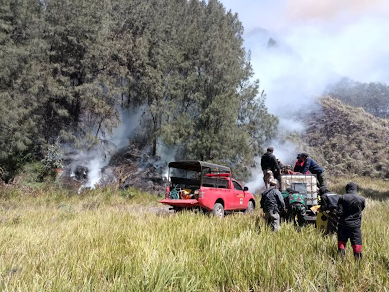 50 Hektare Lahan Terbakar di Gunung Bromo