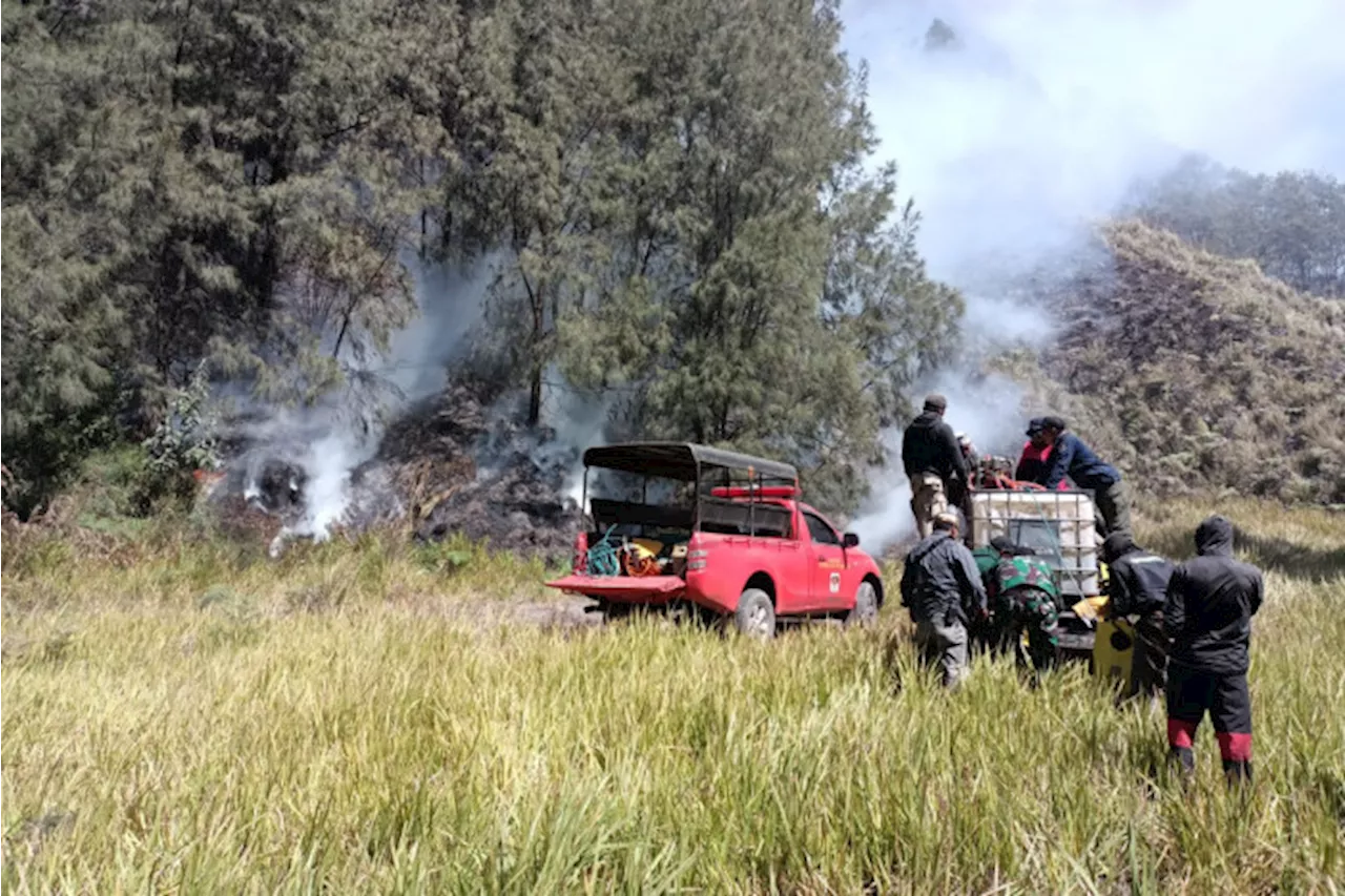 Kebakaran Hutan di Gunung Bromo Berhasil Dipadamkan, Penyebabnya Masih Misteri