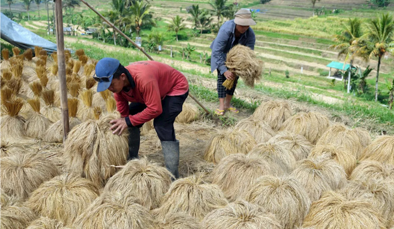 Pertanian Berkelanjutan Indonesia Masih Tertinggal Dibandingkan Ethiopia