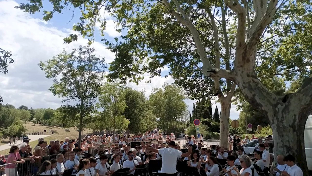 Un concert aux écluses de Fonseranes, à Béziers, pour 'réunir les deux rives du Canal'