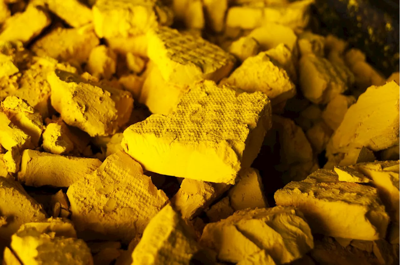 Hedge fund making 20% a year for last decade targets uranium M&A