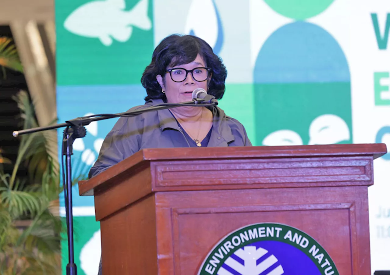 PH mining must be sustainable, says DENR chief