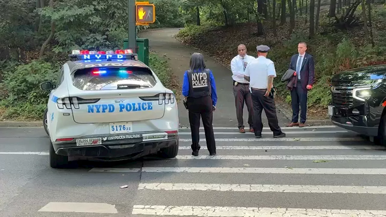 Central Park sunbather fights off attack from man who jumped on her: Police