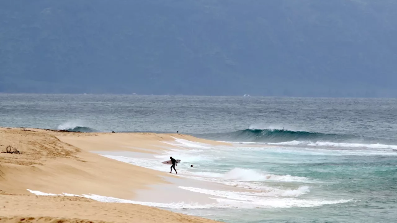 Honolulu lifeguard and famed surfer dies in shark attack off Oahu