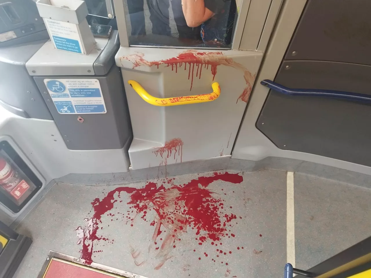 Serious assault on Dublin Bus fuels transport police calls