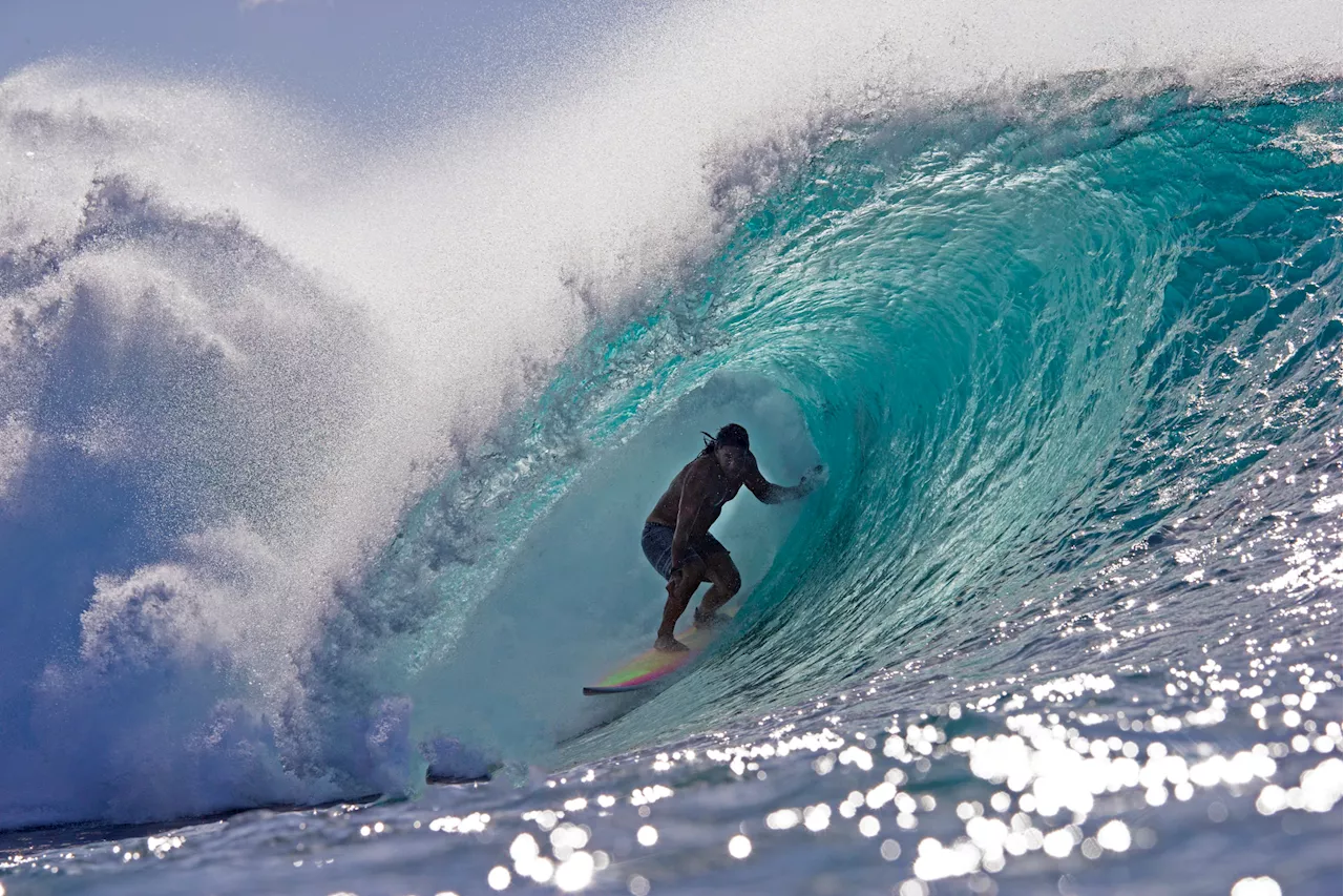 Shark Attack Kills Famous Surfer in Hawaii As Tributes Flood In