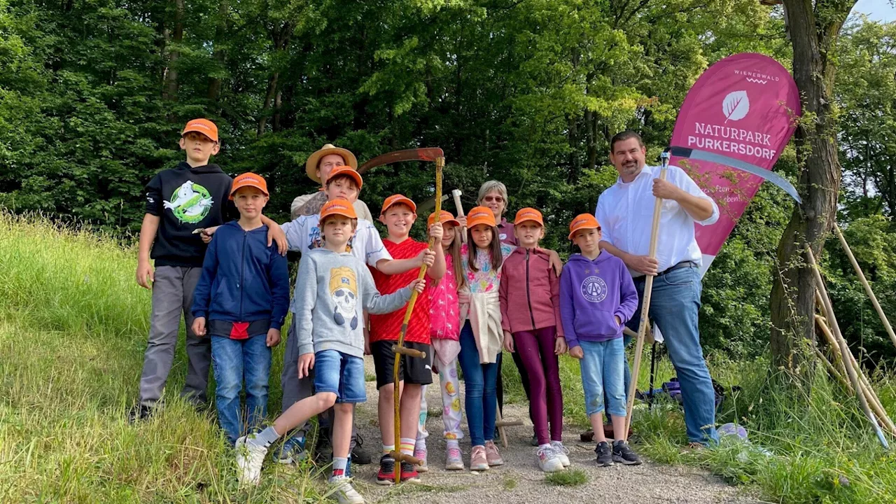 Über 100 Kinder bei Aktionstag auf der Feihlerhöhe