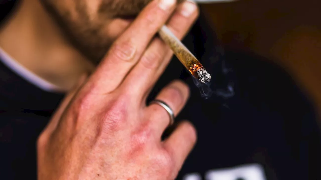 Rheinland-Pfalz & Saarland: Cannabis-Kontrollen: Verband rechnet mit hohen Kosten