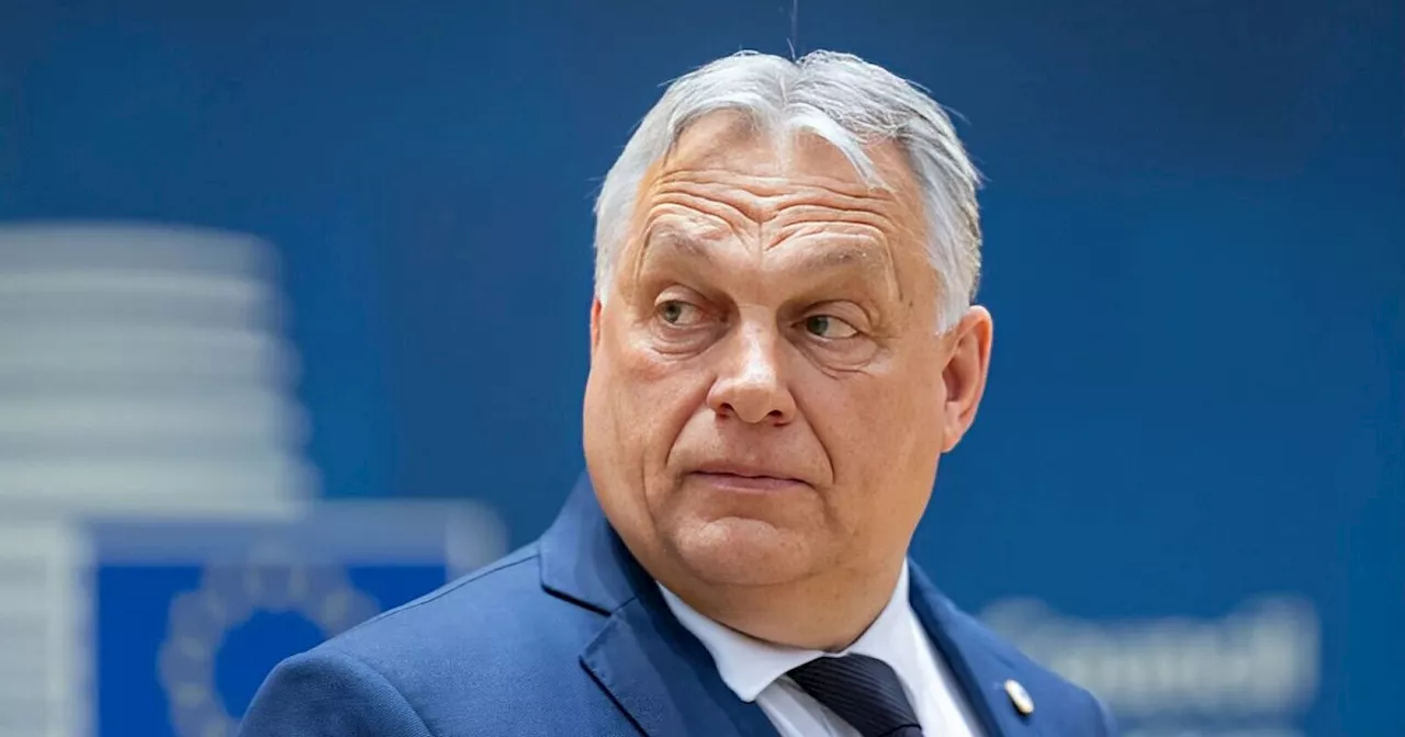 Orbáns Eskorte in Stuttgart verunglückt: Ein Polizist stirbt