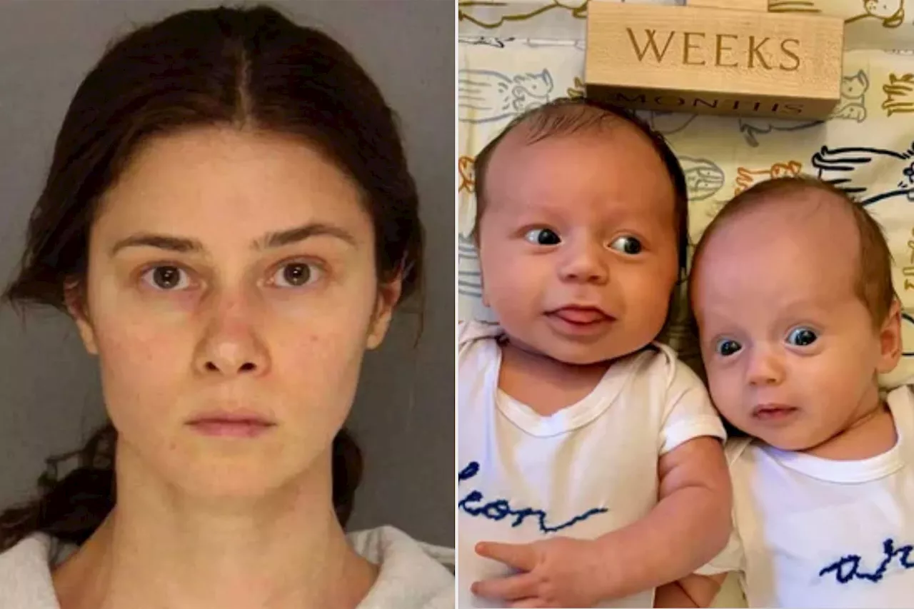 Ph.D. Student Visiting Friend During School Break Is Accused of Murdering Baby, Abusing Slain Child's Twin