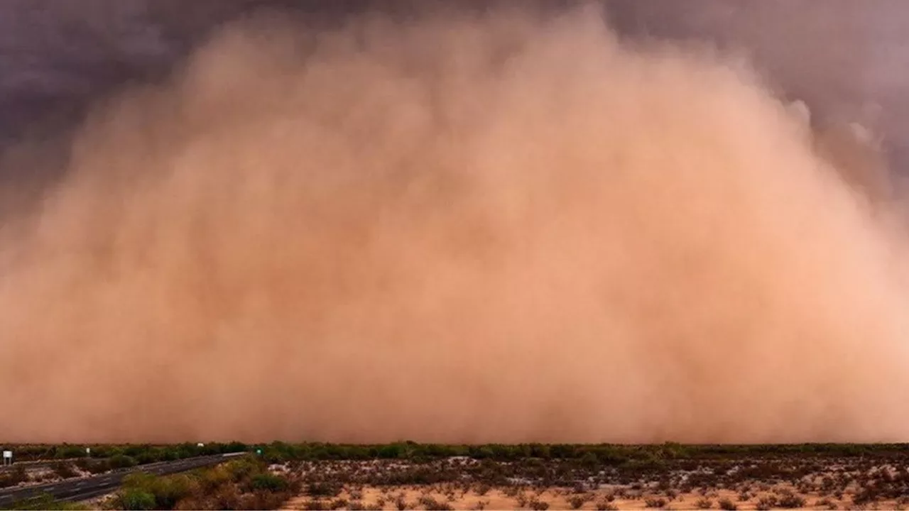 Polvo del desierto de Sahara impactará en estos estados de México