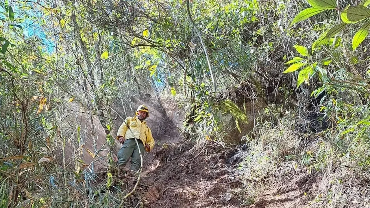 Após uma semana, incêndio no Parque Nacional do Itatiaia (RJ) é extinto