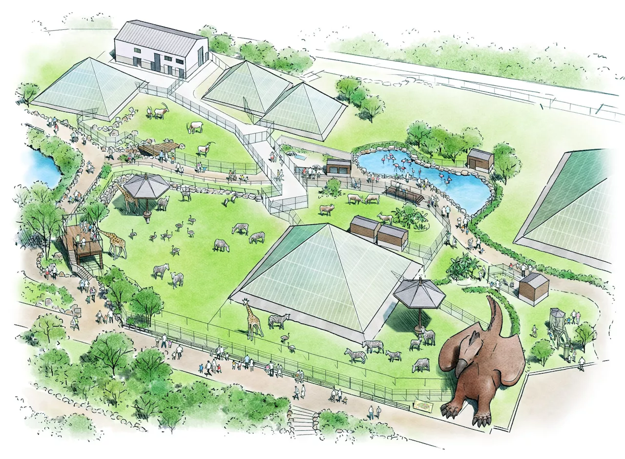 2025年春、伊豆シャボテン動物公園に新エリア「サバンナエリア（仮称）」が誕生