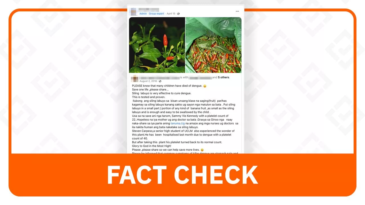 FACT CHECK: Siling labuyo does not cure dengue