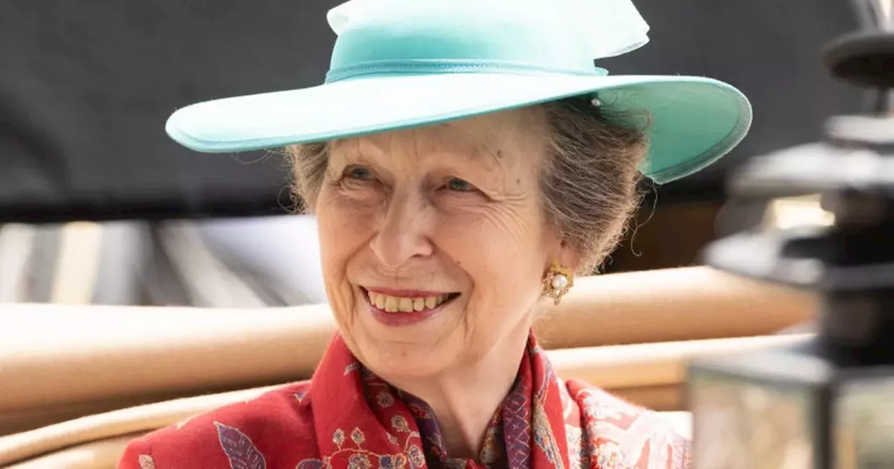 Princess Anne in hospital after sustaining injuries and concussion in 'incident'