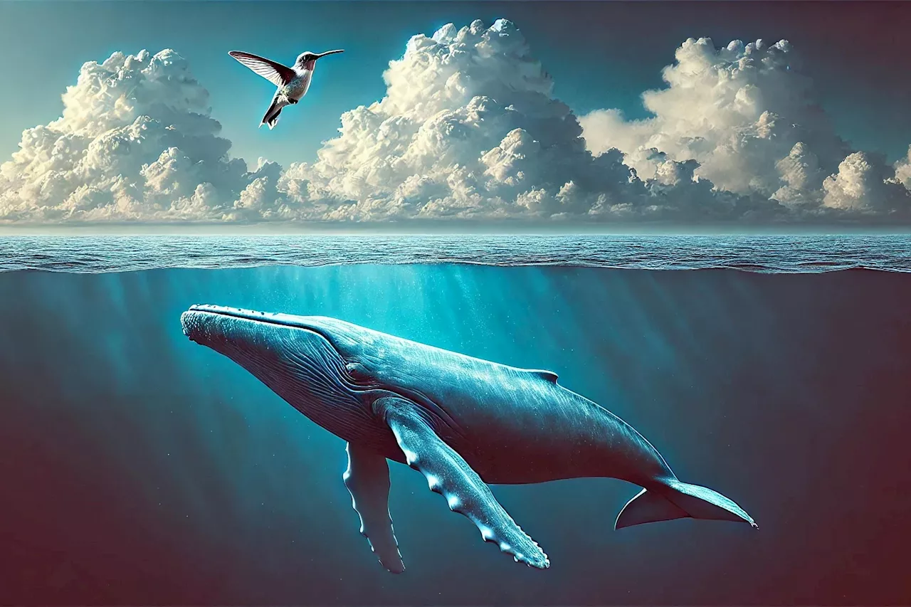 Breaking Barriers in Biology: Universal Equation Links Wingbeats of Whales to Mosquitoes