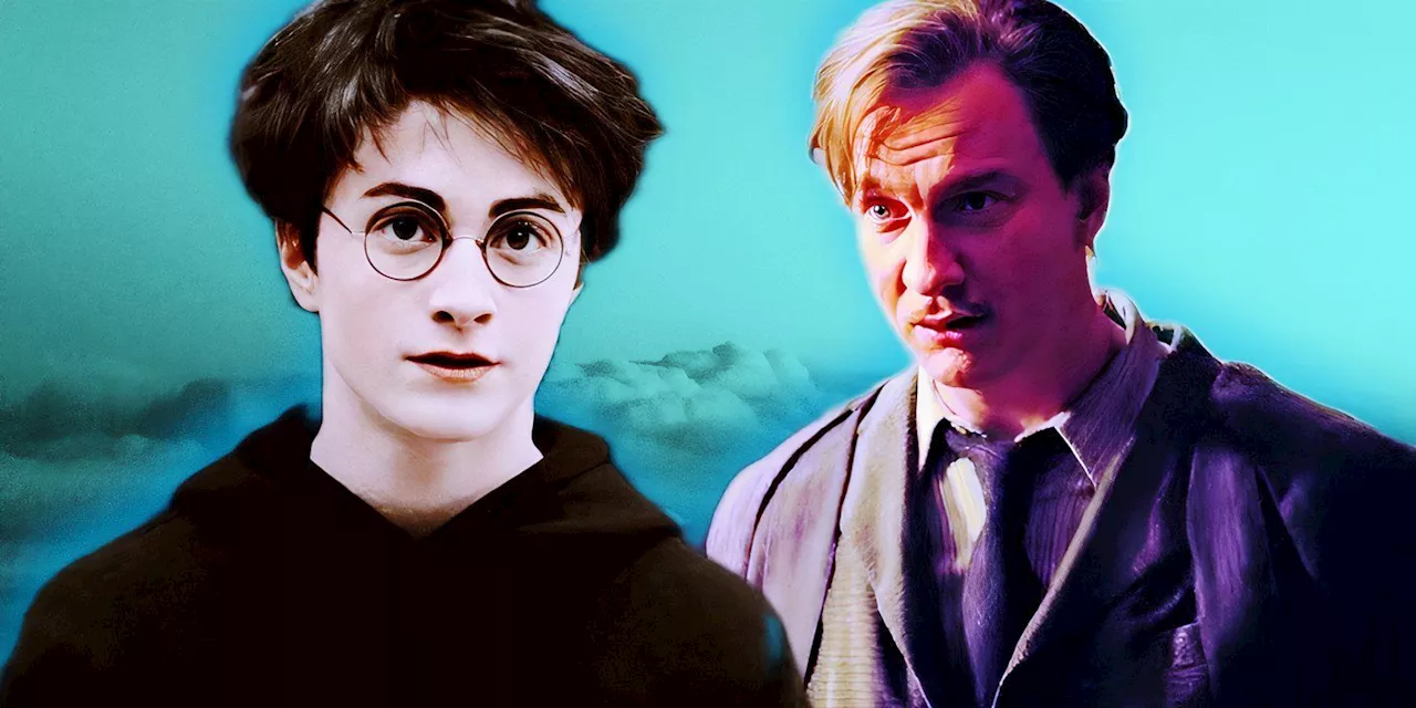 Harry Potter's TV Remake Can Rescue 1 Character The Movies AND Books Got Wrong