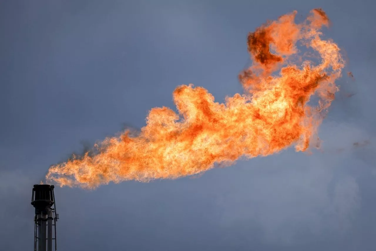 Alberta oil and gas sector exceeded flaring limit in 2023, data shows