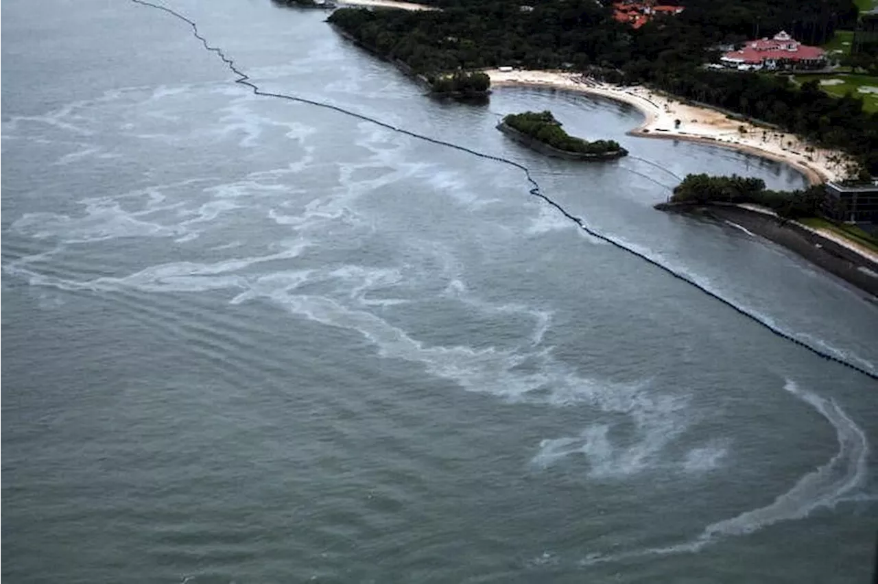 Removal of oil from seas, beaches nearly completed; cleanup of spill enters next phase