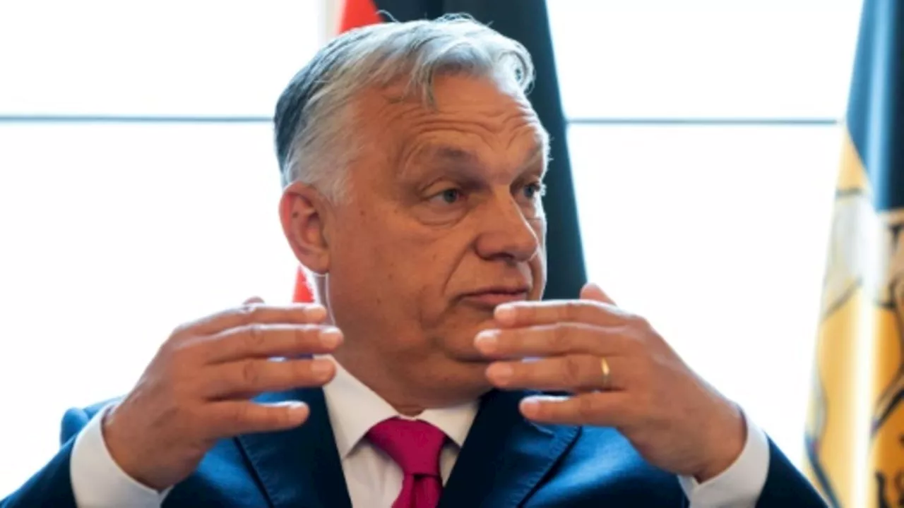 Orban setzt auf Trump für Bemühungen um Waffenstillstand in der Ukraine