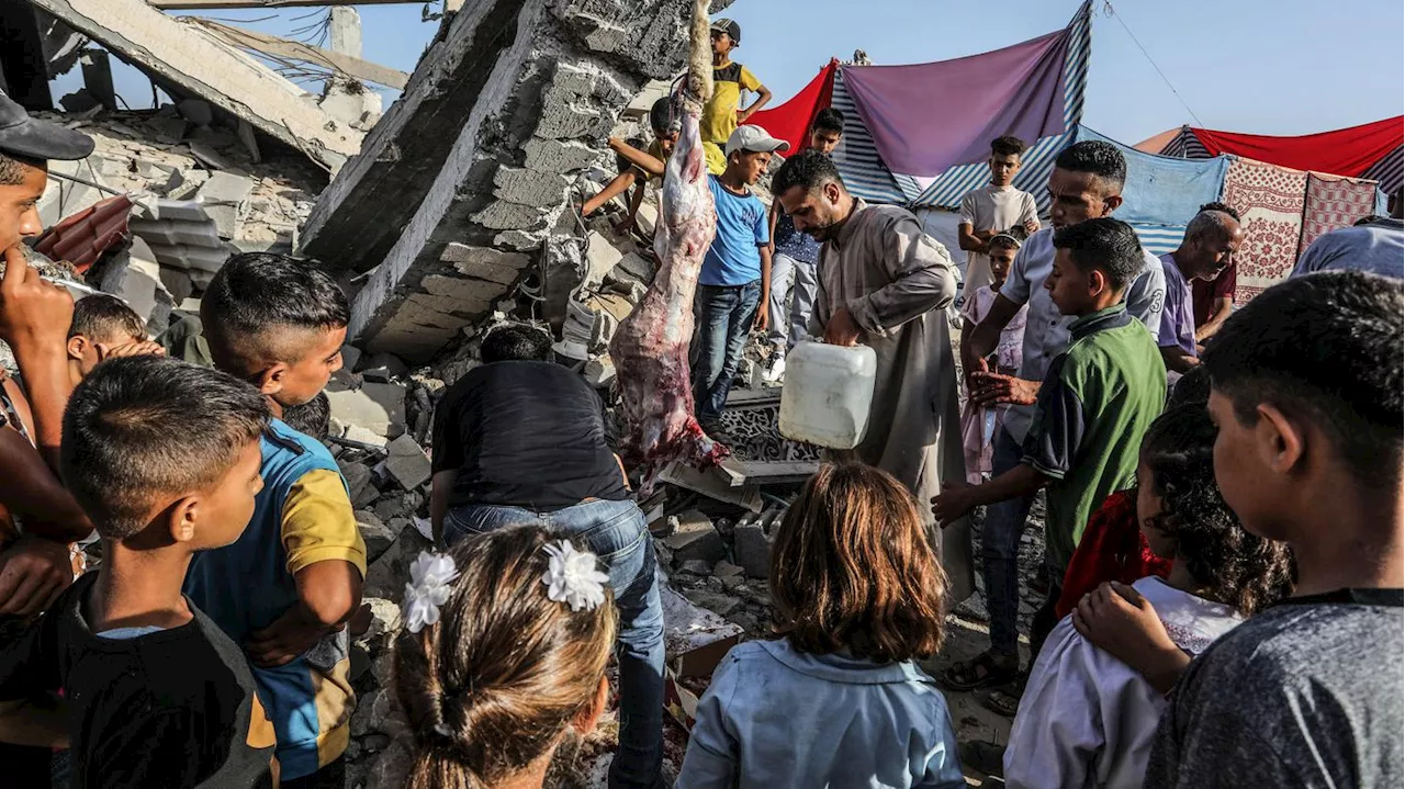 Friedensaktivist aus Gaza im Gespräch: „Die Palästinenser werden einen Weg finden, das Hamas-Regime zu stürzen“