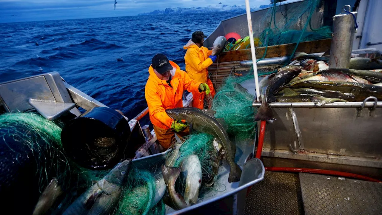 Elleve EU-land retter fiskekritikk mot Norge