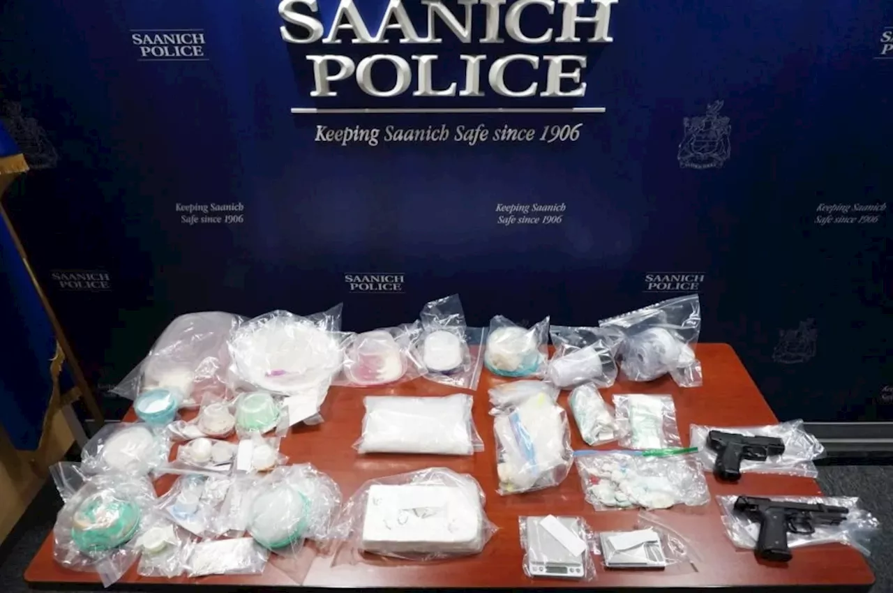 Greater Victoria man gets 3.5 years in prison linked to $400K drug bust in 2019