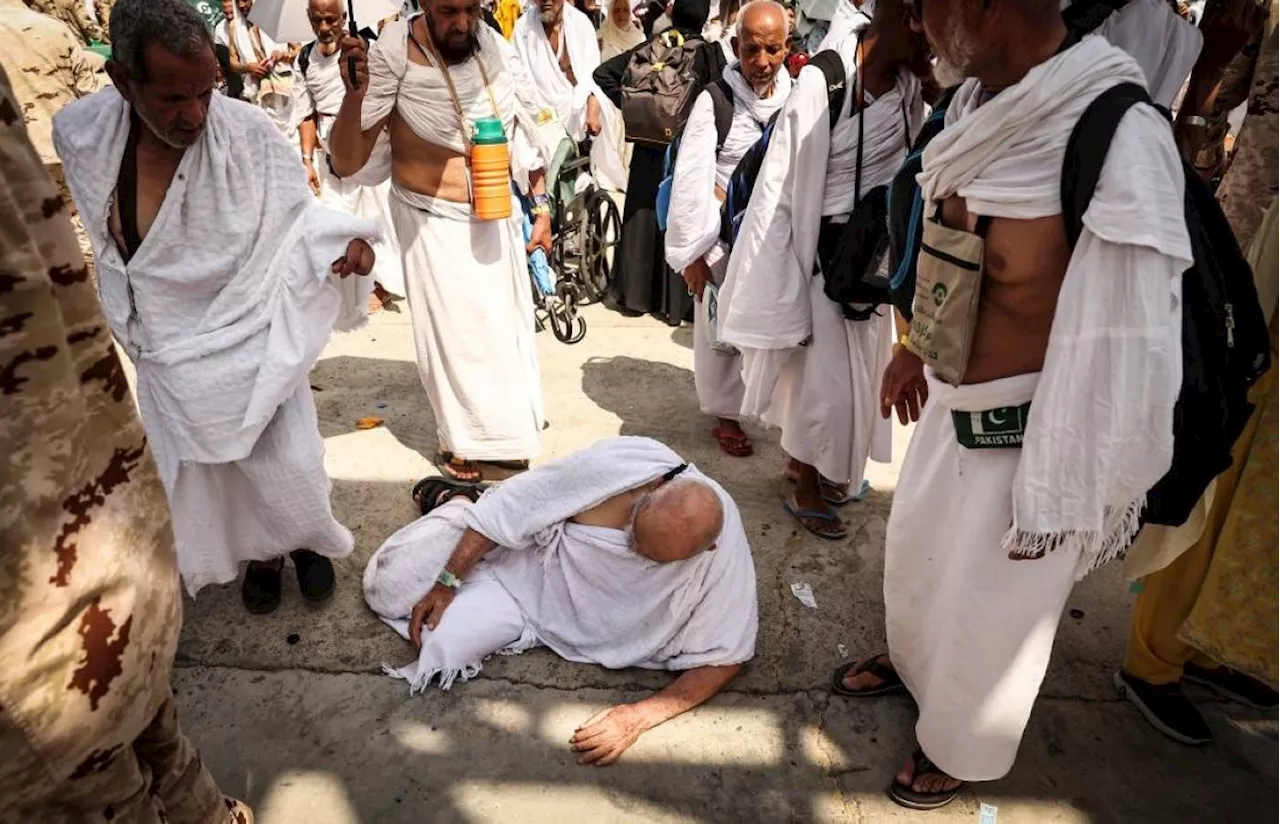 Saudi Arabia: Over 1,300 heat-related deaths during Hajj