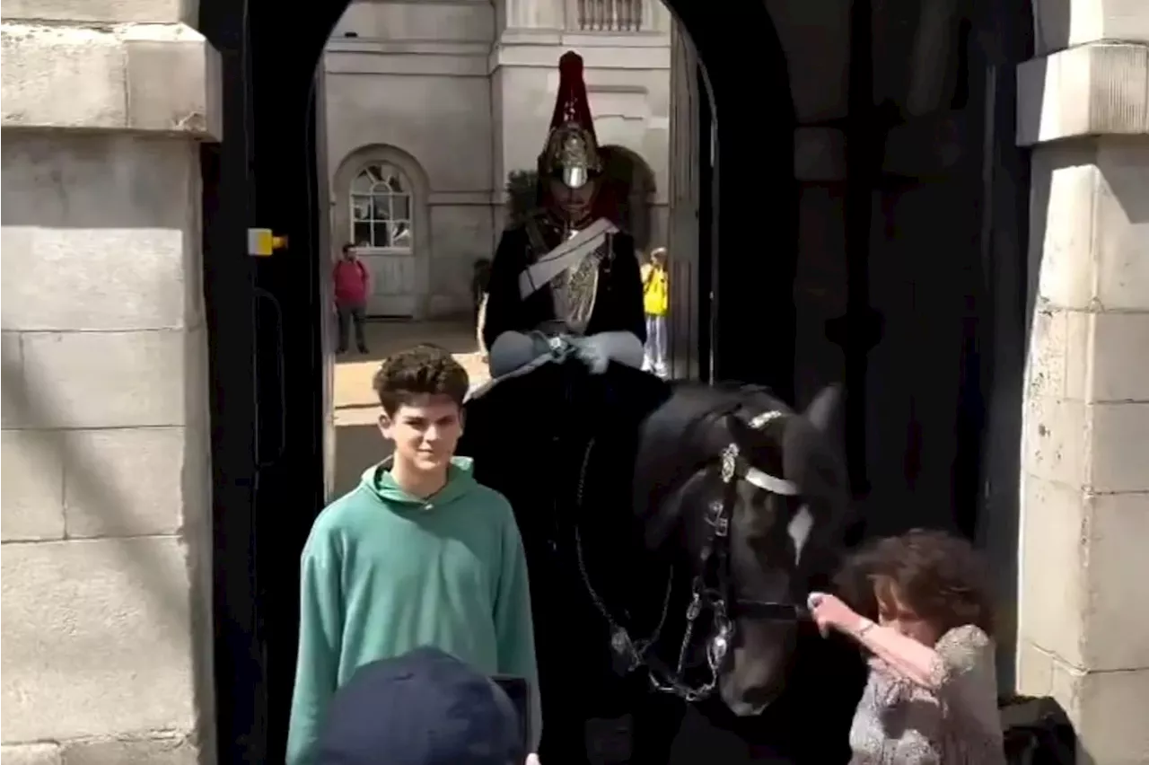 Moment tourist is sent sprawling to the floor after being ‘headbutted’ by King’s Guard horse outside Bucki...