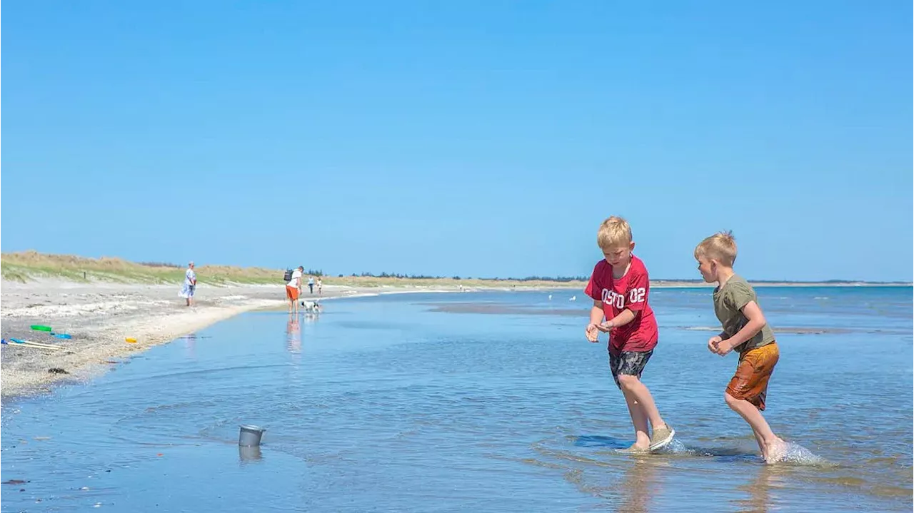 Sommerferiehjælp til udsatte familier: - Vi ved, at det er vigtigt for børnene