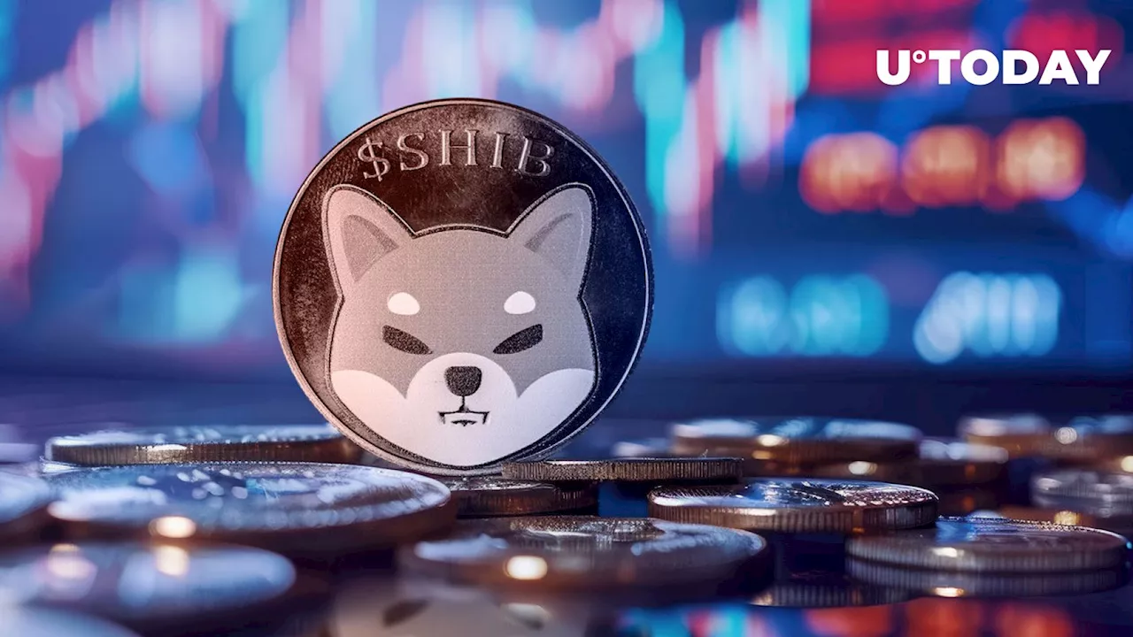 1.08 Trillion SHIB Offloaded to Major Crypto Exchange, What's Going On?