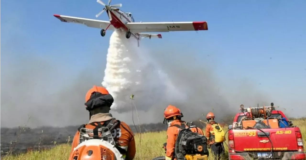 Meio Ambiente: Incêndios No Pantanal: Mato Grosso Do Sul Declara ...