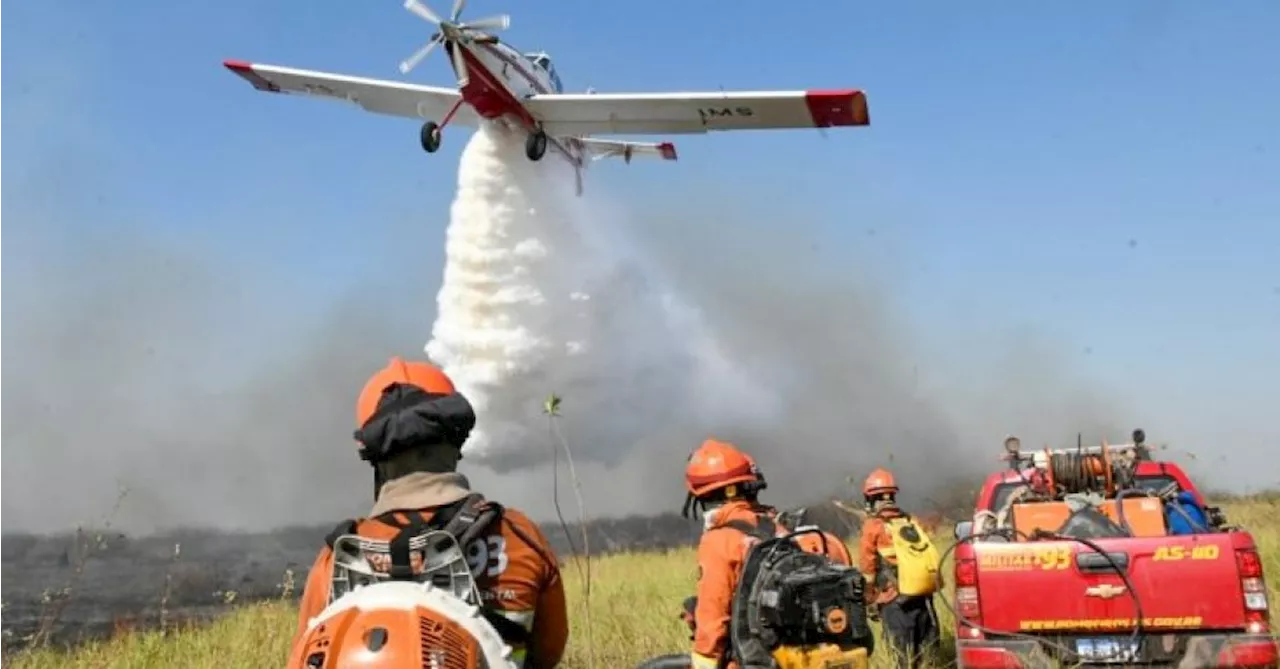 Incêndios no Pantanal: Mato Grosso do Sul declara situação de emergência